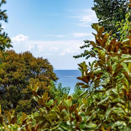 Seaview Dromana - Where The Mountain Meets The Sea Villa Eksteriør bilde